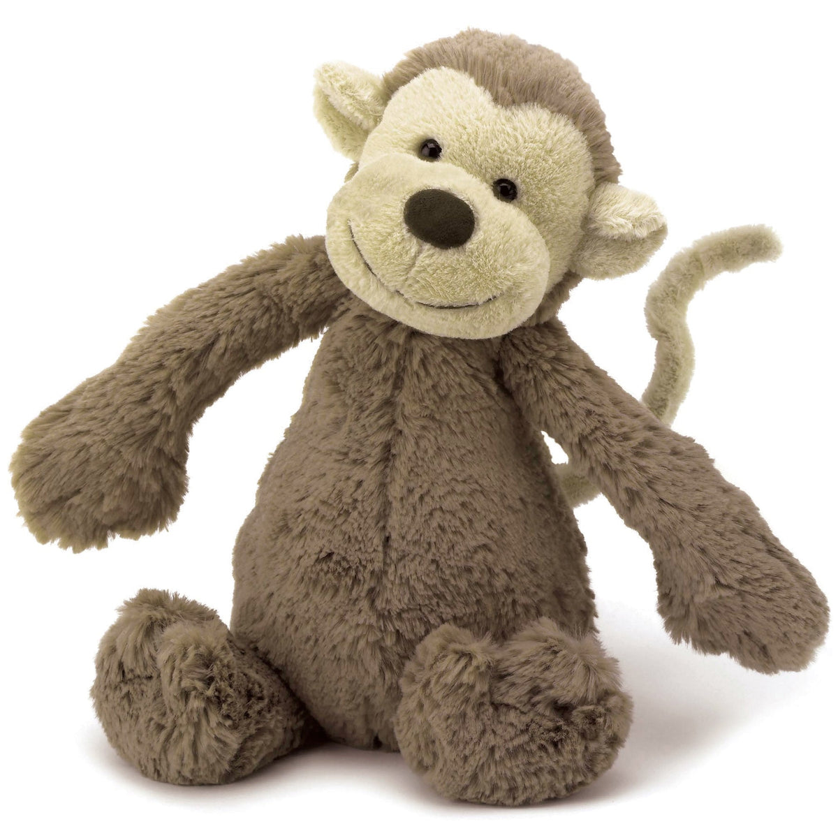 Monkeys & Primates