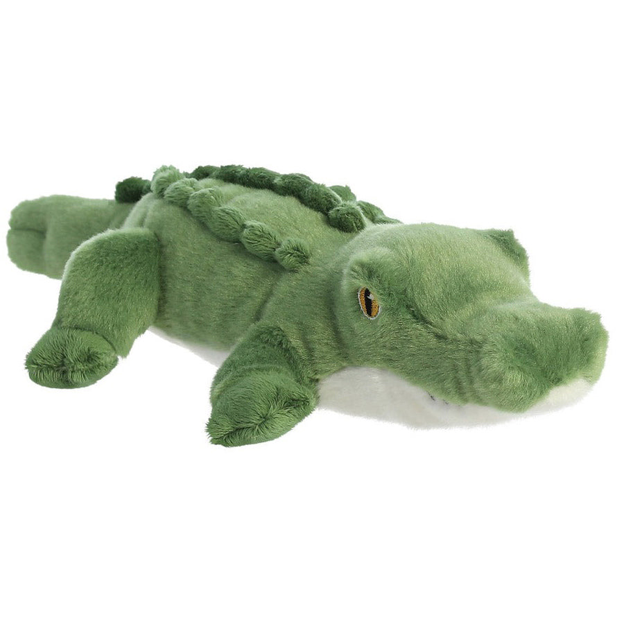 Alligators & Crocodiles