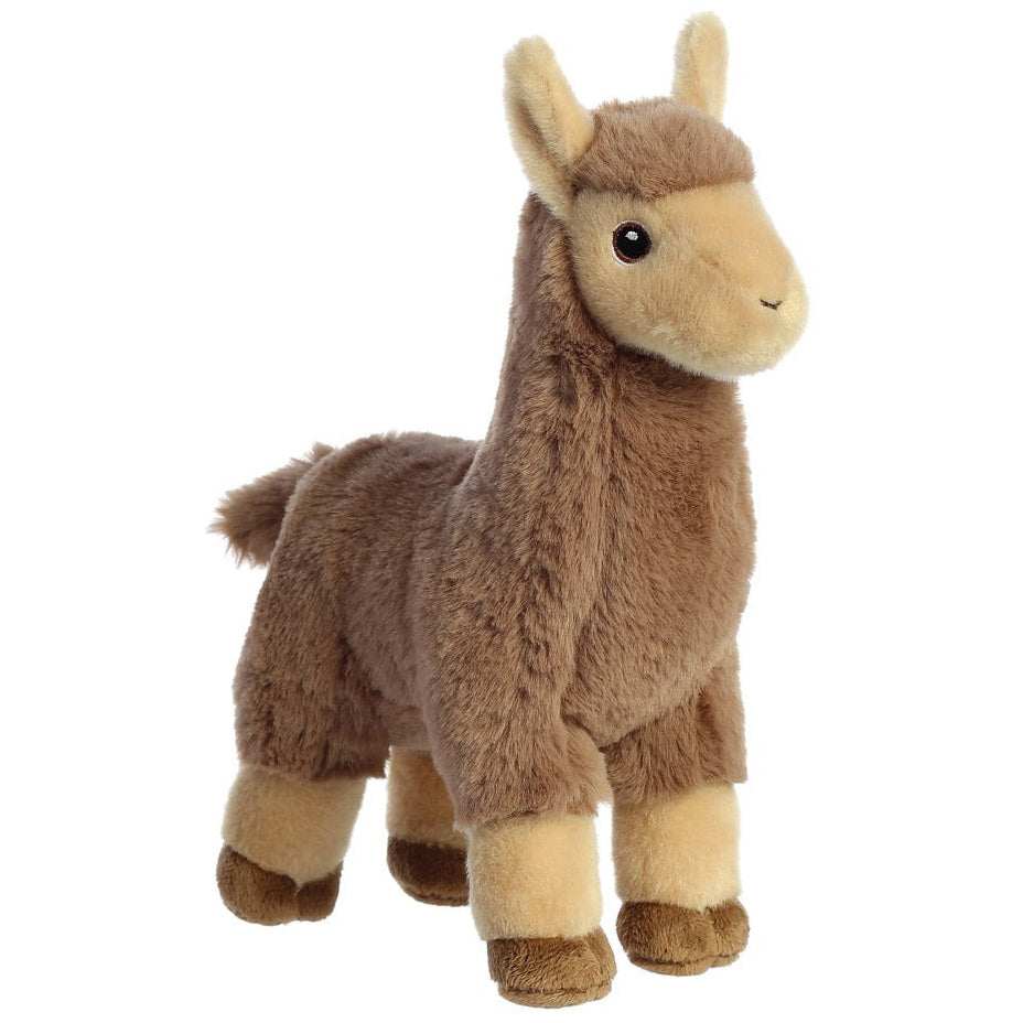 Llamas & Alpacas