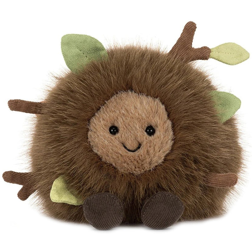 Woodland Wonders