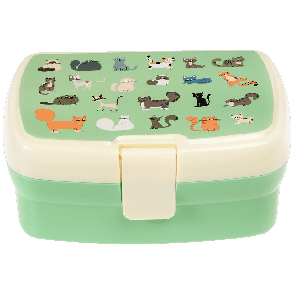 Bento Boxes