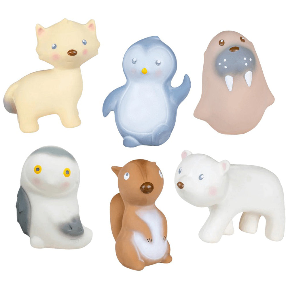Arctic Animals