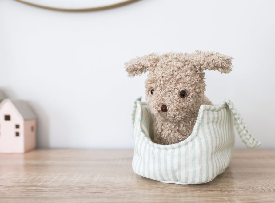 Alimrose Biscuit the Puppy in Carrier - Sage Stripe (22cm)