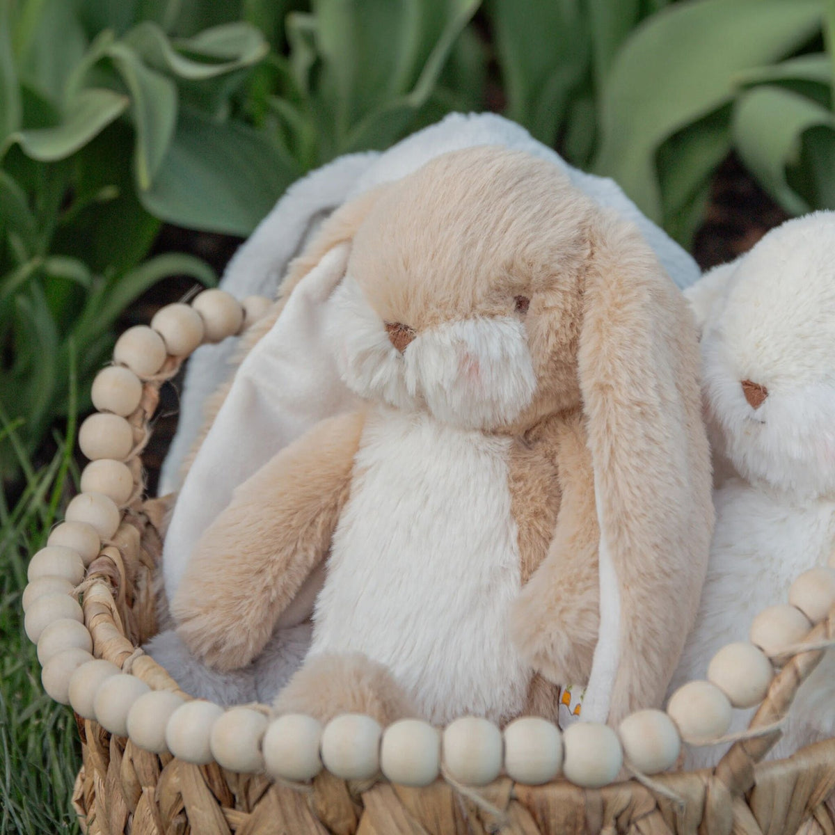 Bunnies by the Bay Tiny Floppy Nibble Bunny - Small Almond Joy (25cm)