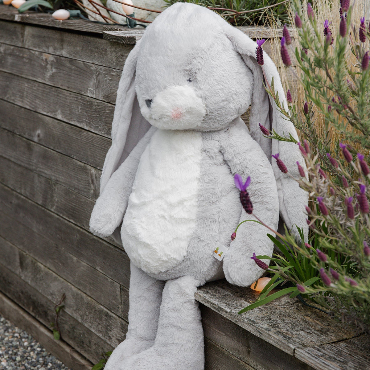 Bunnies by the Bay Bigger Floppy Nibble Bunny - XL Grey (67cm)
