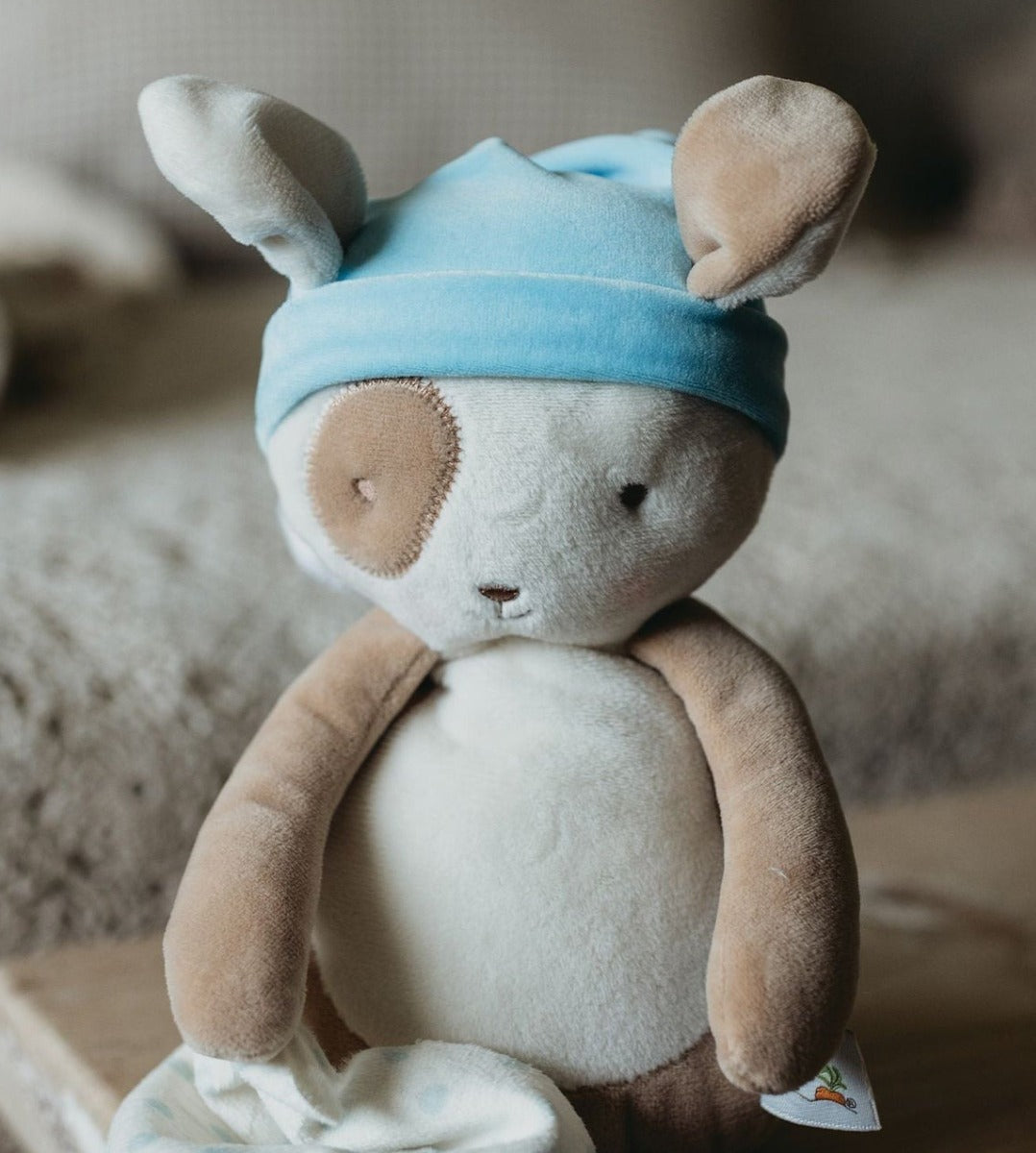 Bunnies by the Bay Sleepy Plush - Skipit Puppy (24cm)