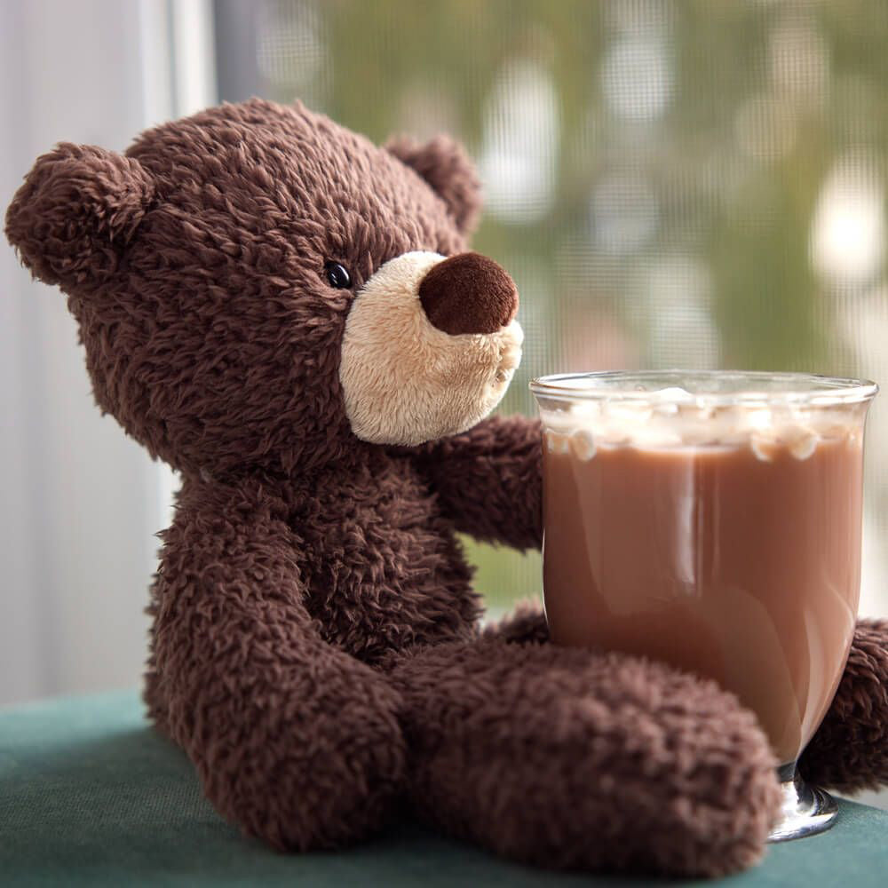 Gund Fuzzy Bear - Chocolate (33cm)