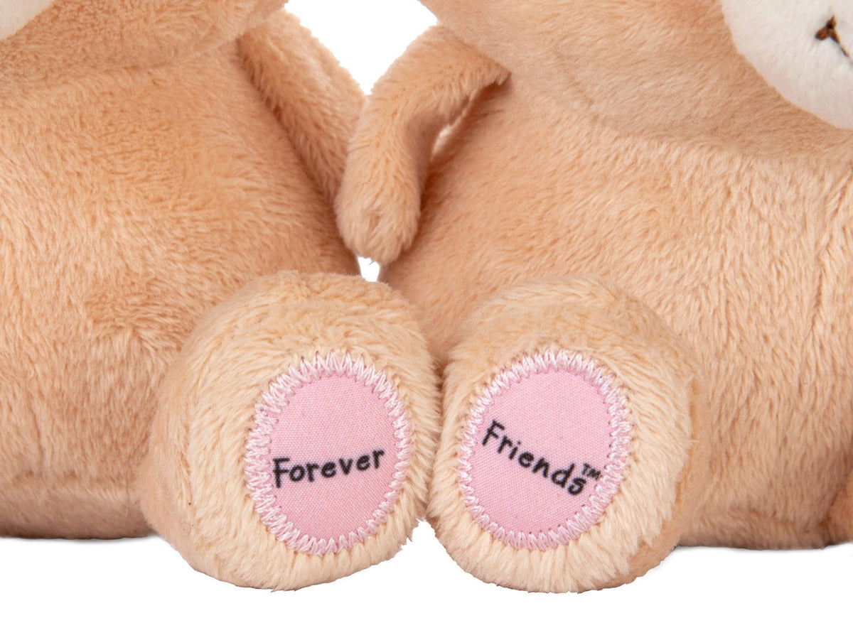 Hallmark Better Together Forever Friends Bears Magnetic Plush