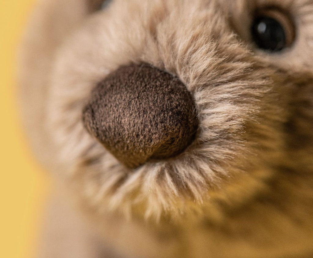 Jellycat Wonda Wombat (23cm)