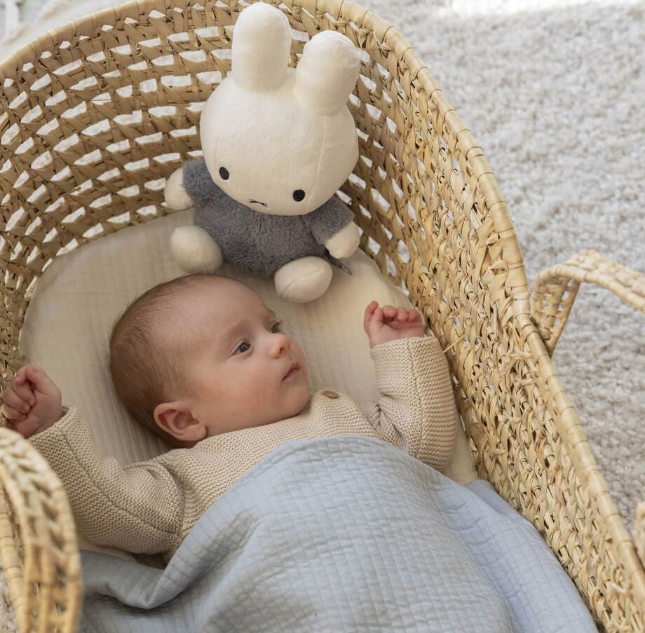 Miffy Plush Fluffy Cuddle Rattle Toy Medium - Blue (25cm)