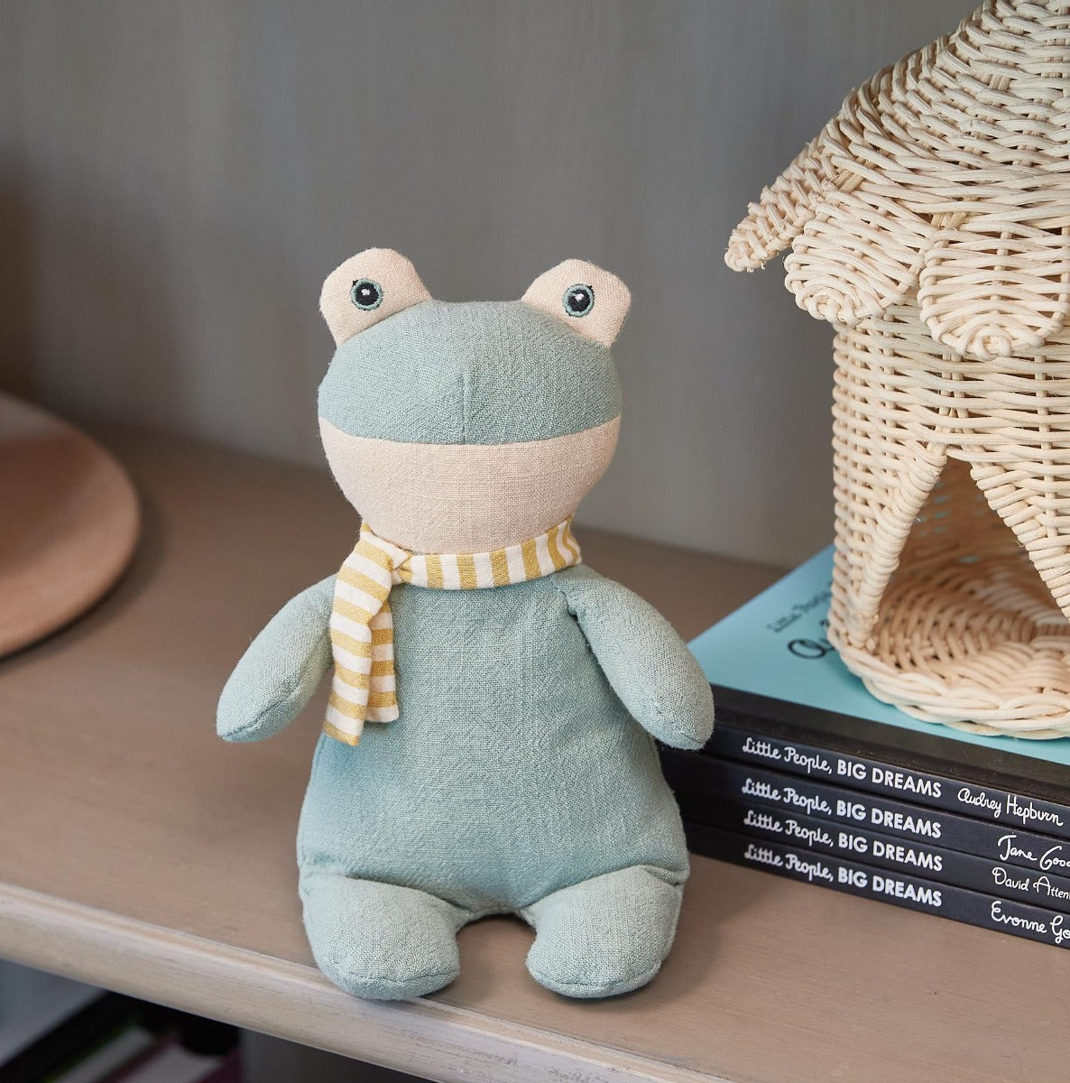 Nana Huchy Forrest the Frog (22cm)
