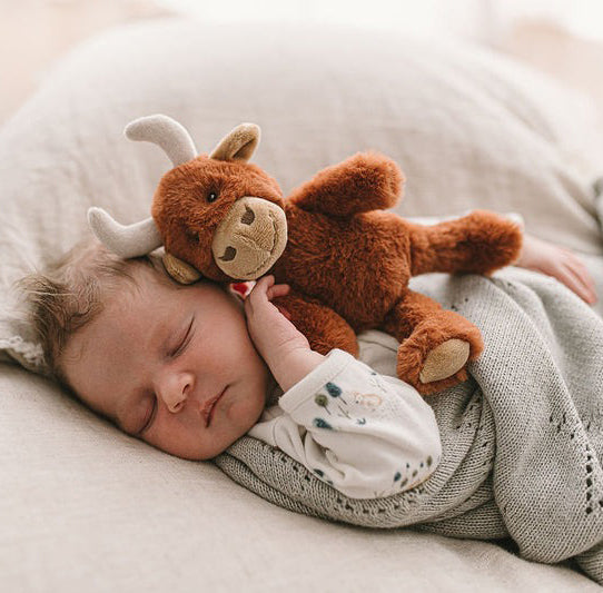 Nana Huchy Mini Henry the Highland Cow Rattle (21cm)