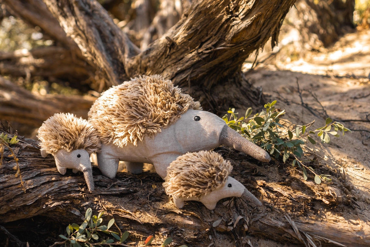 Nana Huchy Mini Spike the Echidna Rattle (13cm)