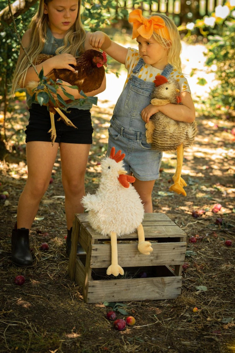 Nana Huchy Roy the Rooster (29cm)