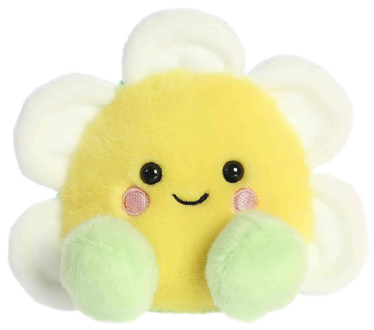Palm Pals Deon Daisy (12cm)
