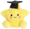 Palm Pals Magna Graduation Star (13cm)