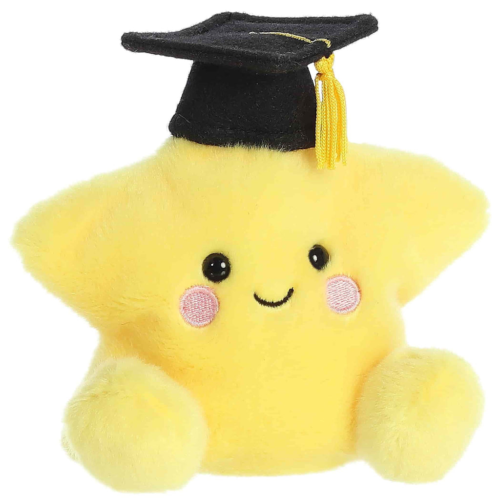 Palm Pals Magna Graduation Star (13cm)