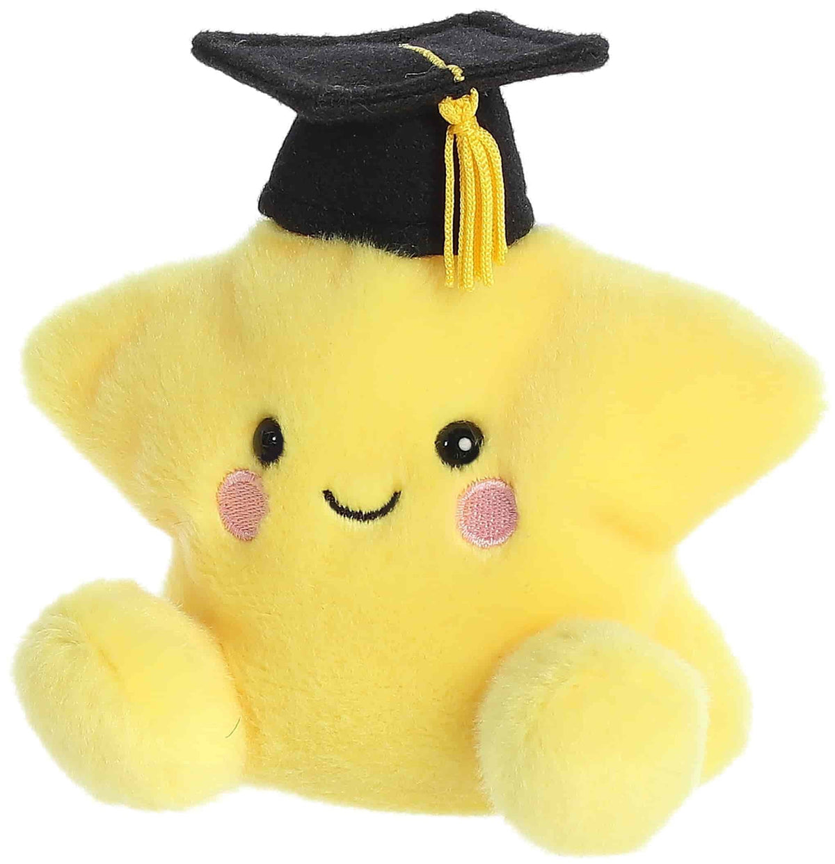 Palm Pals Magna Graduation Star (13cm)