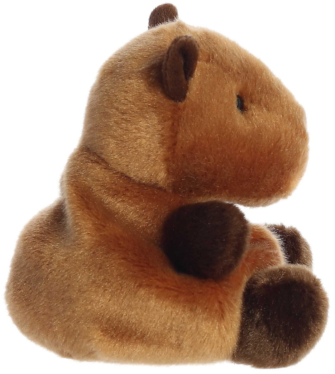 Palm Pals Sid Capybara (14cm)