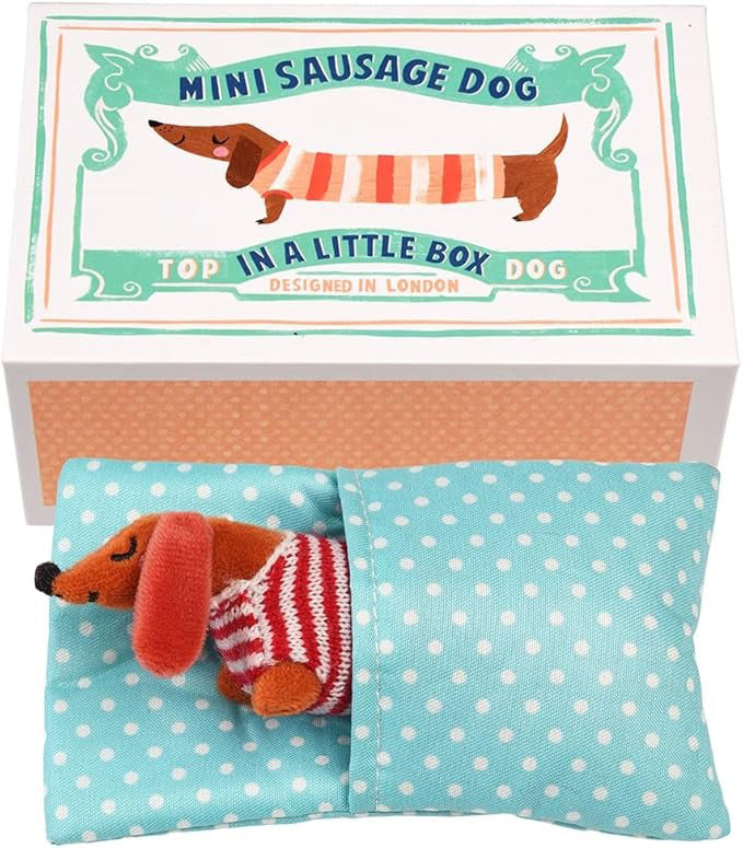Rex London Mini Sausage Dog in a Little Box (14cm)