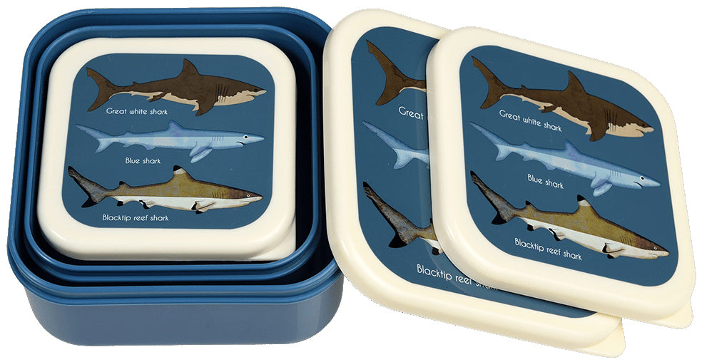 Rex London Sharks Set of 3 Snack Boxes