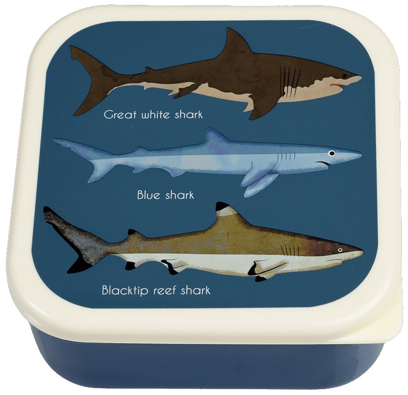 Rex London Sharks Set of 3 Snack Boxes