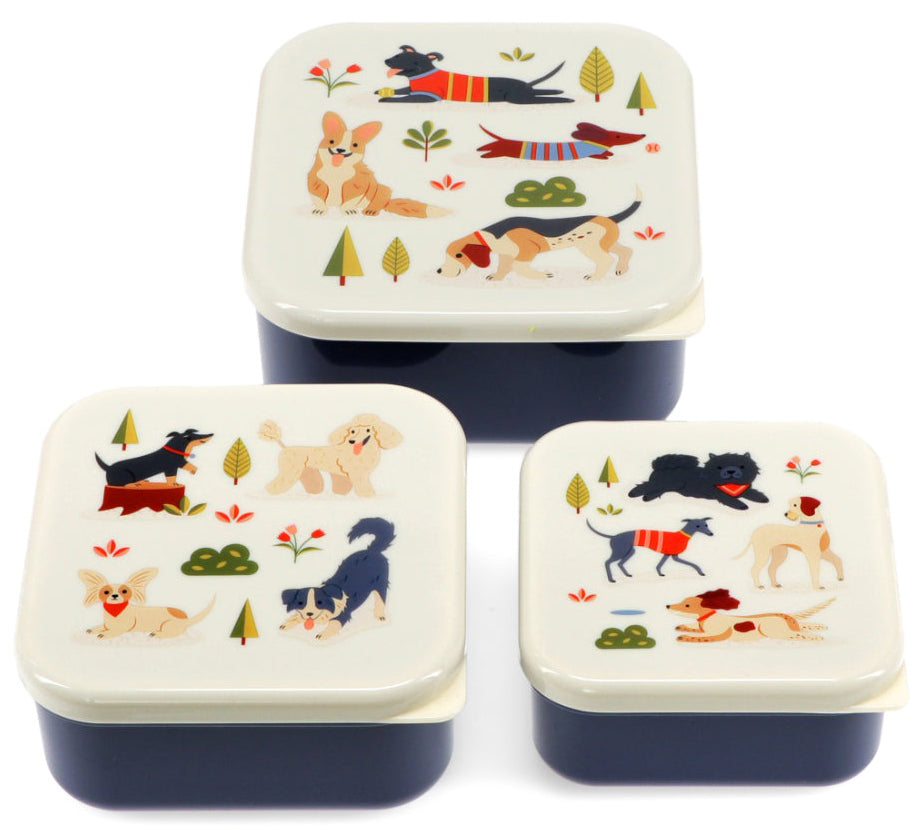 Rex London Dog Park Set of 3 Snack Boxes