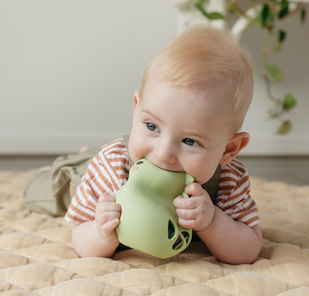 Tiger Tribe Silicone Rattle - Dino