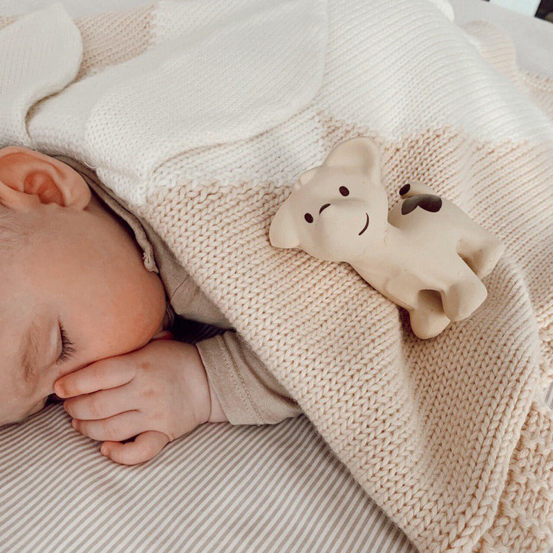 Tikiri My First Farm Animal Organic Teether Rattle - Puppy