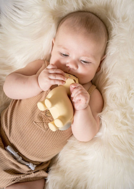 Tikiri My First Arctic Animal Organic Teether Rattle - Fox
