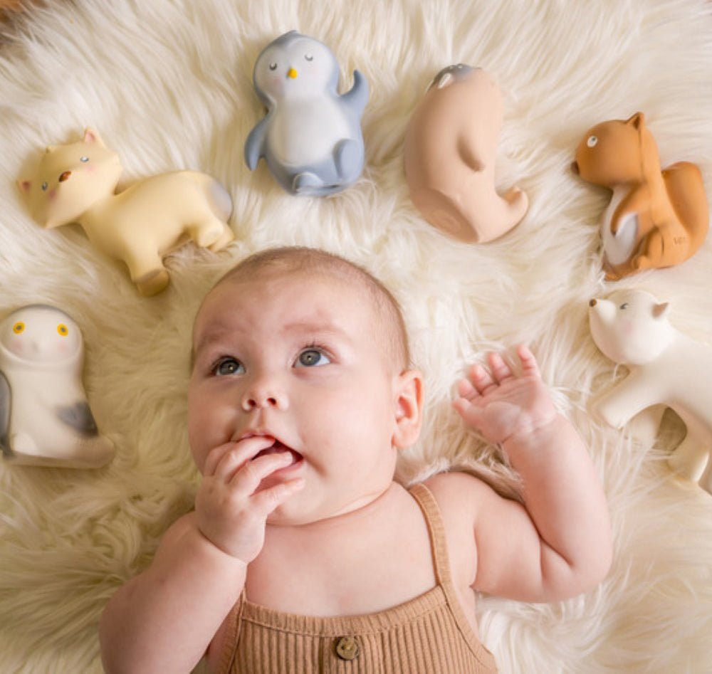 Tikiri My First Arctic Animal Organic Teether Rattle - Fox