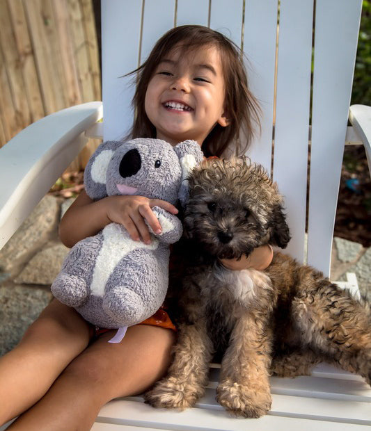 Tikiri Organic Koala Plush (24cm)