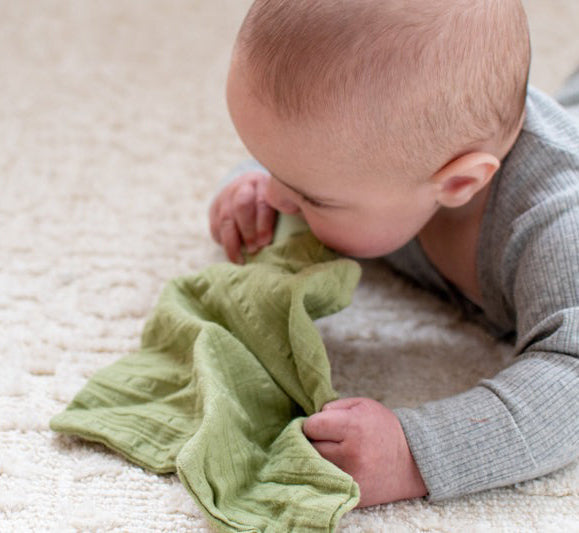 Tikiri My First Safari Organic Comforter & Teether - Crocodile