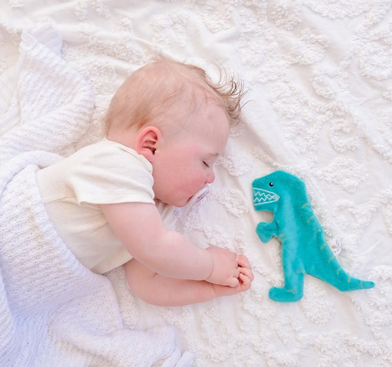 Tikiri Organic Sensory Scrunchie Toy - T-Rex