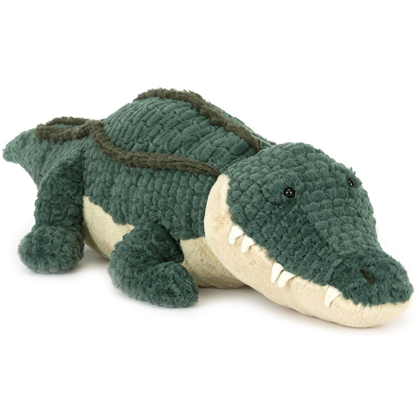 Alligators & Crocodiles