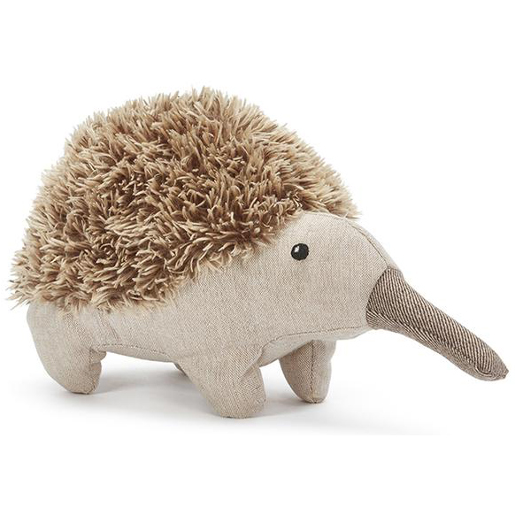 Echidnas