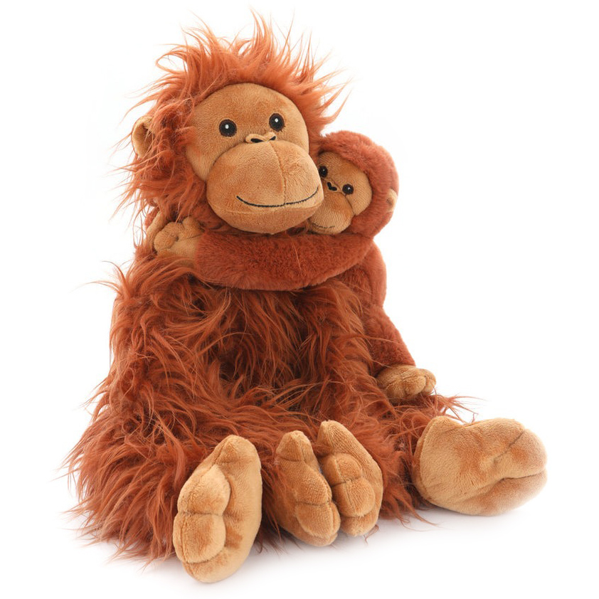 Orangutans