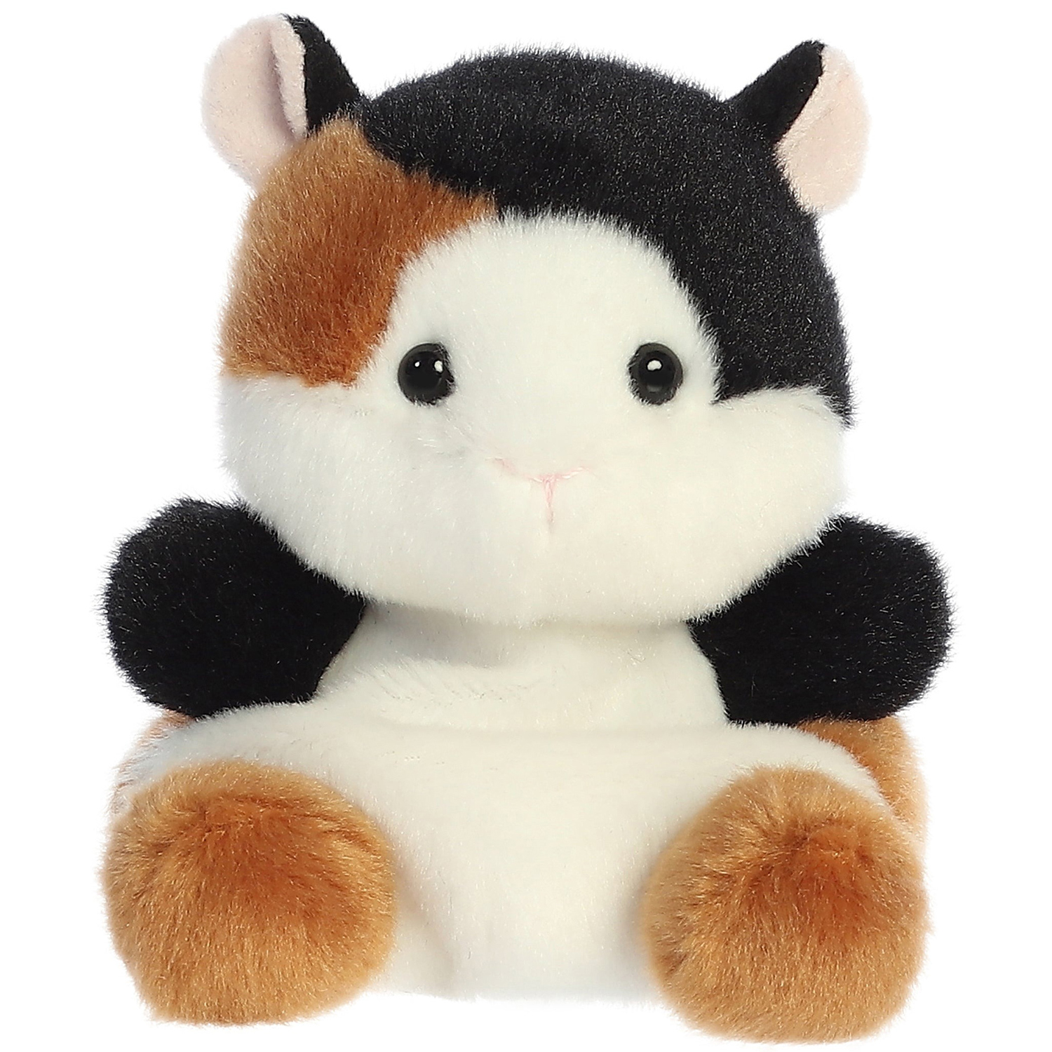 Pet