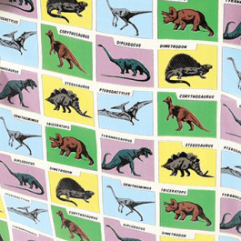 Prehistoric Land