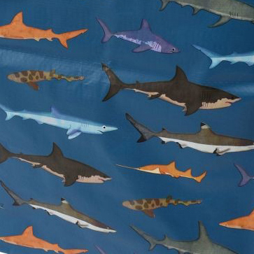 Sharks