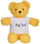 Play School Big Ted Plush (29cm)