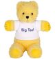 Play School Big Ted Beanie (18cm)