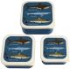 Rex London Sharks Set of 3 Snack Boxes