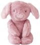 Alimrose Plush Piggy Toy (28cm)
