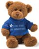 Gund I'm The Big Brother Bear - Blue T-Shirt (30cm)