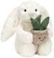 Jellycat Bashful Cream Bunny with Plant (28cm)