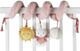 Miffy Plush Fluffy Spiral Activity Toy - Pink