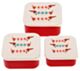 Rex London Sausage Dog Set of 3 Snack Boxes - Ivory