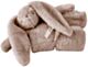 Alimrose Darcey Lovey Blanket - Grey (60cm)