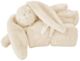 Alimrose Darcey Lovey Blanket - Ivory (60cm)
